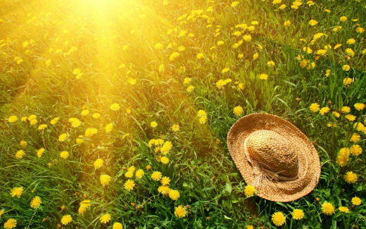931642 (a): :2880x1800